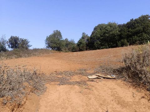 Wir präsentieren den VERKAUF dieses Landes in einem BAUBAREN ländlichen Siedlungssystem von 1253,12 m2, gelegen im städtischen Bereich von La Esperanza, in der Dr. Antonio Vílchez Abril Straße, Polygon 22, Grundstück 63. Hier kann ein Keller von bis ...