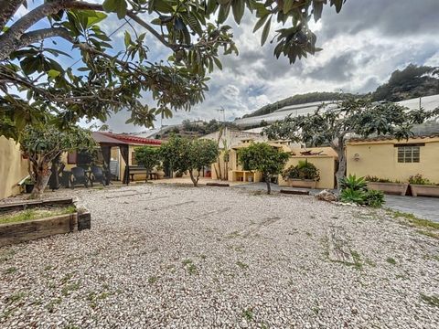 Bonita casa de campo con piscina ubicada en una zona muy tranquila de Polop de la Marina. La vivienda consta de una amplía cocina abierta completamente equipada, un luminoso salón - comedor con chimenea, 2 habitaciones y 1 cuarto de baño. En la misma...