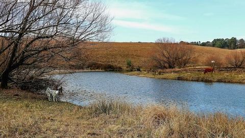 Ontdek de betoverende Glamping Caravan van het RUSTIC RESORT, een uniek pand genesteld in 14 hectare pittoreske glooiende heuvels en omlijst door de majestueuze Drakensbergen in Underberg, Zuid-Afrika. Dit toevluchtsoord met eigen kookgelegenheid lig...