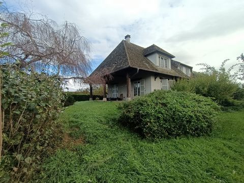 photo no. 11