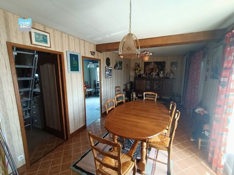 photo no. 4