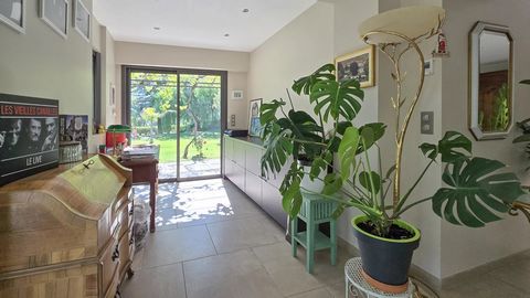 photo no. 13