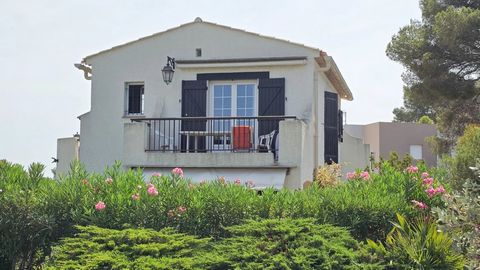 photo no. 13