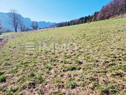 Ein besonderes Stück Bauland mit 799 m2, Nahe der Burg Gernreith! Auf diesem wunderschönen Grundstück, mit Süd-Ost-Hanglage, könnte Ihr ganz persönlicher Wohntraum mit Urlaubsflair entstehen! Die herrliche Lage nahe am Wald, mit beeindruckendem Bergb...