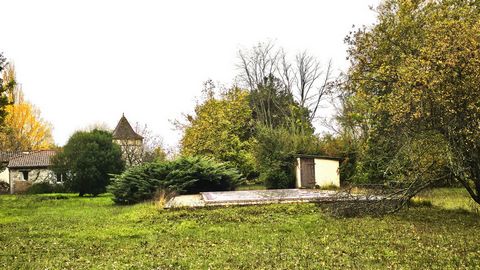 photo no. 7