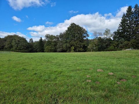 En exclusivité Cédric COVERGNAT vous propose sur la commune de CLERGOUX 19320 un terrain constructible de 2800 m² idéalement placé sur l'axe TULLE , EGLETONS . Le terrain est plat et accessible, il convient à un projet de construction. Le prix est de...