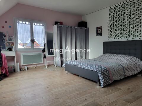 photo no. 15