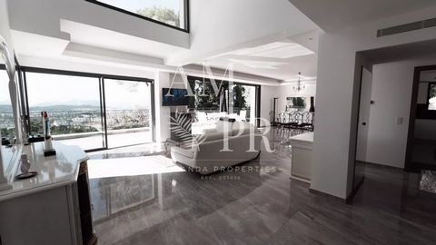 photo no. 17
