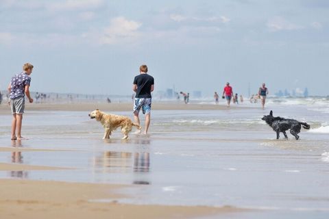 Deze karakteristieke, rietgedekte villa is een fantastische accommodatie voor een verblijf dichtbij het Noordzee strand. Met een gezelschap van maximaal 8 personen zult u optimaal genieten van de gezelligheid terwijl er ook rekening gehouden is met d...