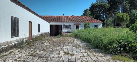 Residential building + warehouse, with a gross construction area of 418 square meters, located in Oliveirinha, Carregal do Sal, district of Viseu. Building with two independent uses, one for warehouse (an old winery) with 290 square meters and anothe...