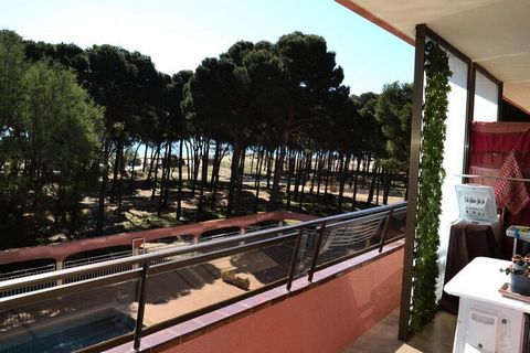 Zee, strand en zwembad.... Pineda Beach 19 heeft het allemaal! Deze mooie appartement ligt direct aan het strand en beschikt over een prachtig zwembad gebruikelijk bij ligstoelen. Via de boulevard kan dat bereikt u in 10 minuten het centrum van L'Est...