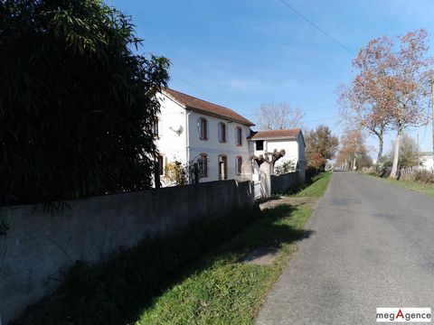 photo no. 4