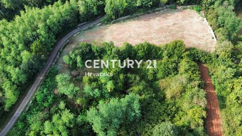 LABIN, UMGEBUNG, GROSSES BAULAND In ruhiger Lage, in einem kleinen Dorf, 9 km vom Zentrum der Stadt Labin und 1 km vom Zentrum einer kleinen Stadt mit allen Einrichtungen entfernt, verkaufen wir ein Baugrundstück mit quadratischer Form. Es handelt si...