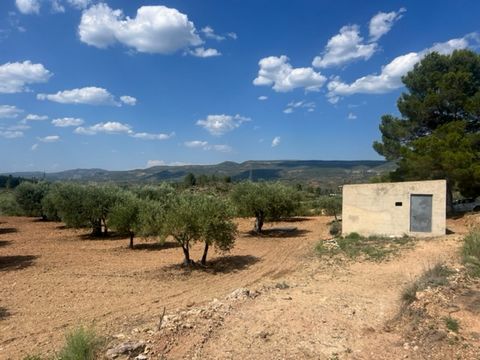 Kleines Landhaus mit Olivenhain in Zarra (zwischen Ayora-Zarra). Bei der Casita handelt es sich um eine einstöckige Casita, die renoviert werden muss, das Dach ist aus Blech. Die Umgebung ist ein Olivenhain mit Privatsphäre, es gibt keine Nachbarn in...