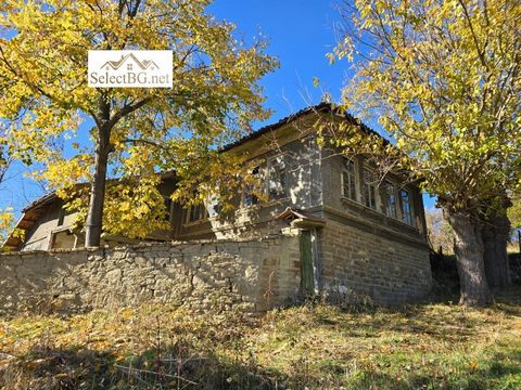 Solidny dom z dużym podwórkiem zaledwie 12 km od Veliko Tyrnovo Nicejska nieruchomość z południową ekspozycją w pobliskiej i dobrze rozwiniętej wiosce Pchelishte.Przez wieś przebiega regularny transport autobusowy do Veliko Tarnovo, większość nieruch...