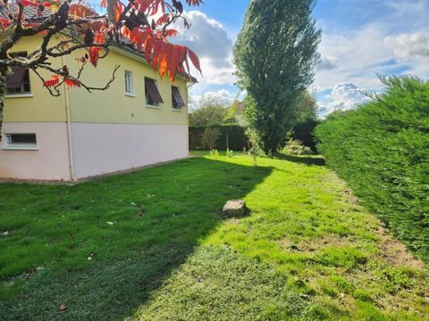 photo no. 17