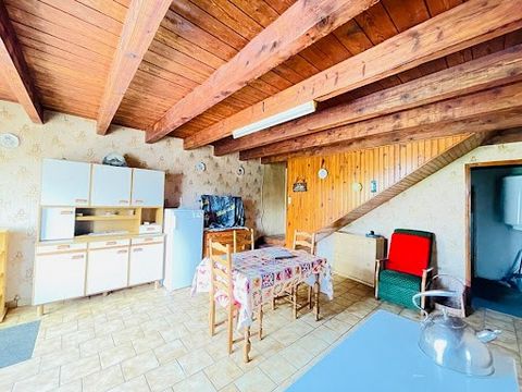 House intended for the fastest to come and visit: In the heart of a small quiet village, ten minutes from all infrastructures, this traditional stone house will offer beautiful perspectives to a talented handyman, with, on the ground floor: A kitchen...