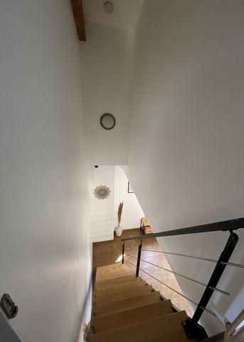photo no. 11