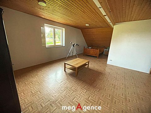 photo no. 11