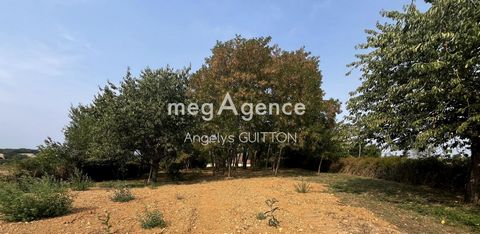 photo no. 5