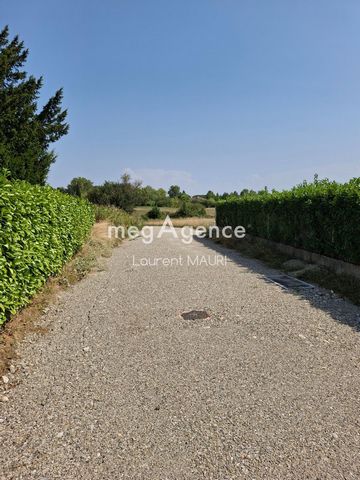 photo no. 3