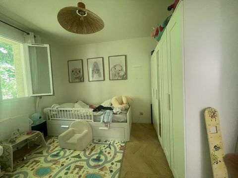 photo no. 7