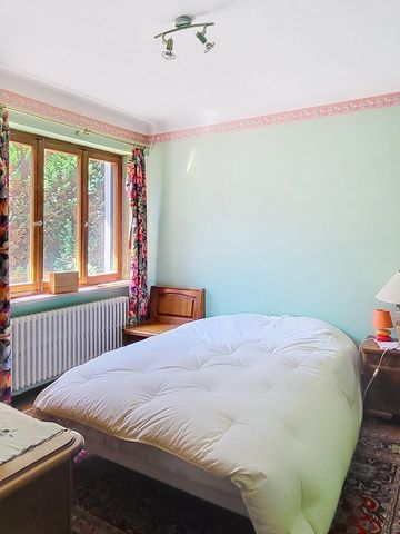 photo no. 8