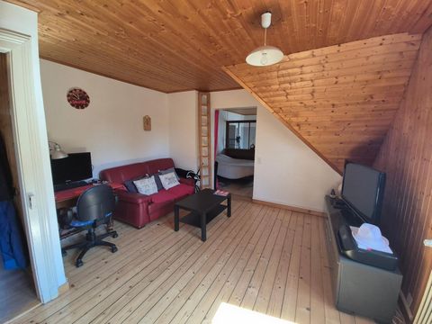 photo no. 12