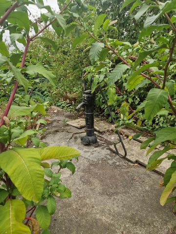 photo no. 11