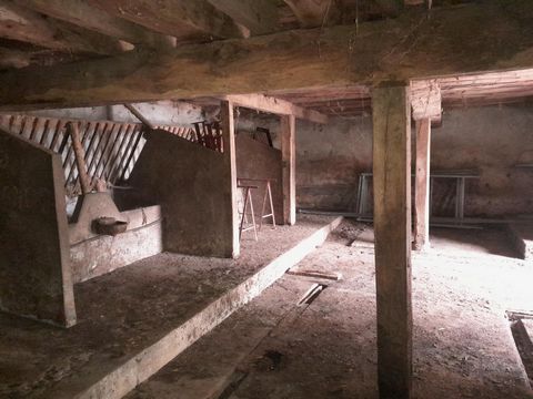 photo no. 16