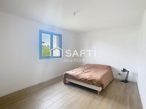 photo no. 6