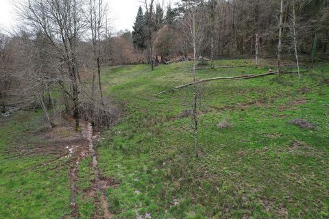 photo no. 8
