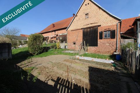 photo no. 12