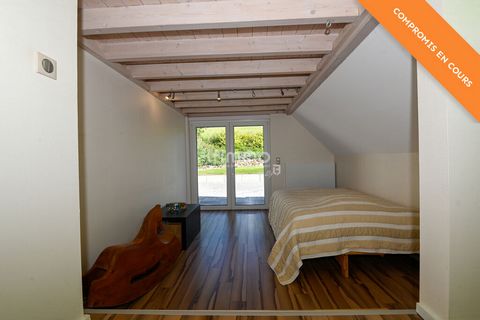photo no. 12