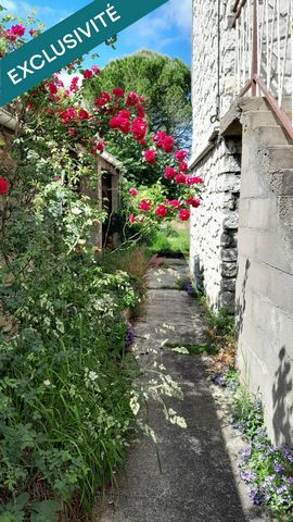 photo no. 17