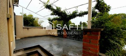 photo no. 8