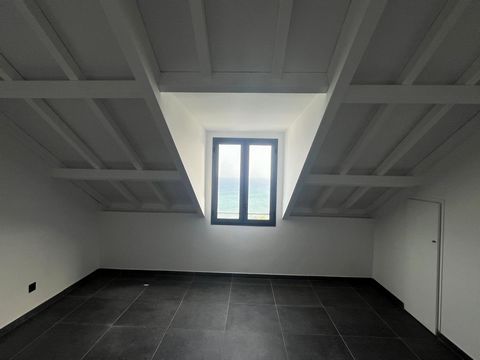 photo no. 5