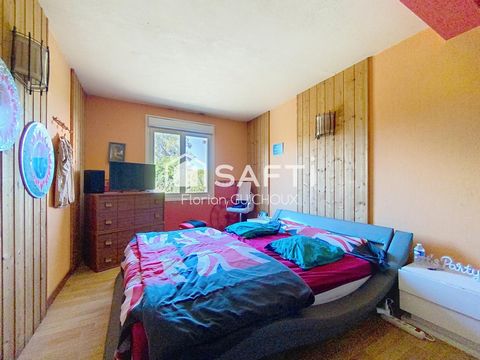 photo no. 6