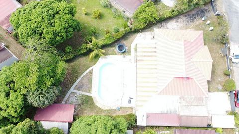 photo no. 6