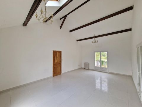 photo no. 6