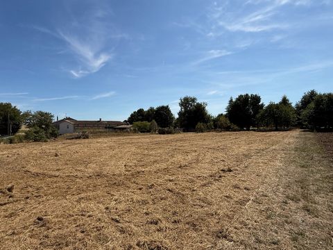 photo no. 16
