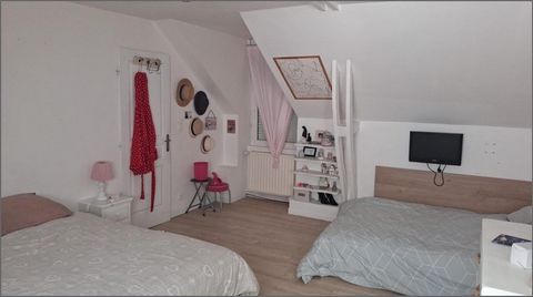 photo no. 10