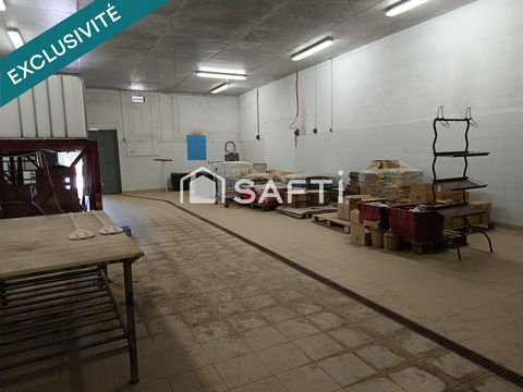 photo no. 14