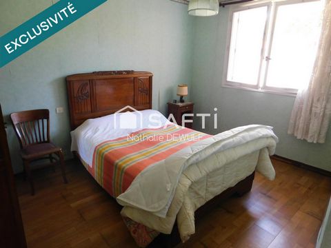 photo no. 8
