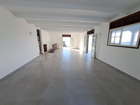 photo no. 5