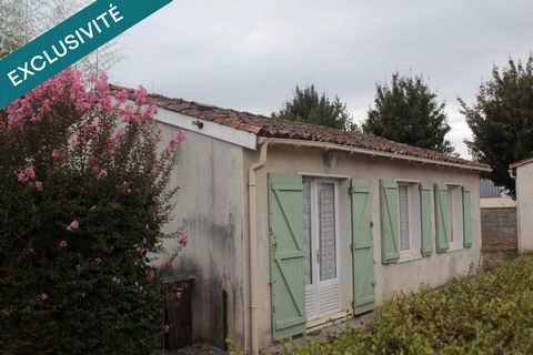 A DÉCOUVRIR SANS TARDER !