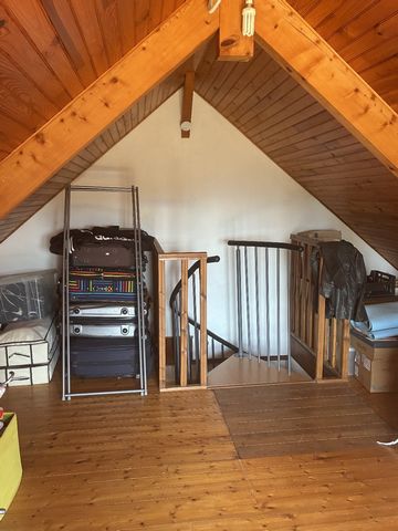 photo no. 18