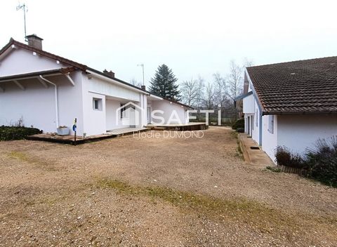 photo no. 2