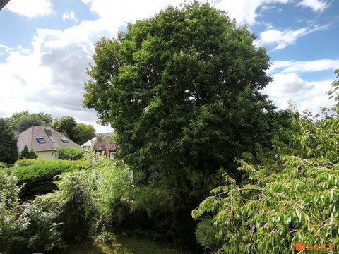photo no. 14