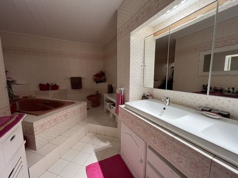 photo no. 5